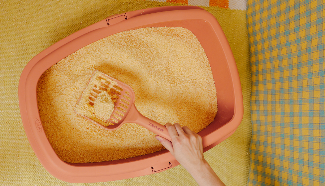 Semana do Gato: 10 produtos que vão mudar a rotina do seu gato 1 Mão segurando pá com dejeto da caixa de areia.