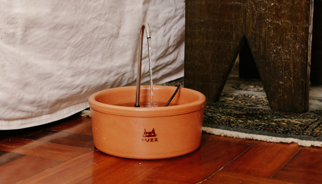 Semana do Gato: 10 produtos que vão mudar a rotina do seu gato 5 Bebedouro automático para gato.