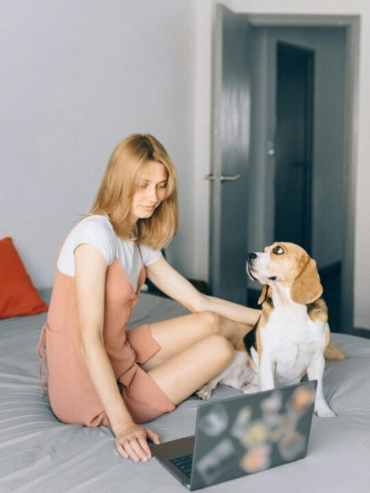 Imagem de responsável com cachorro