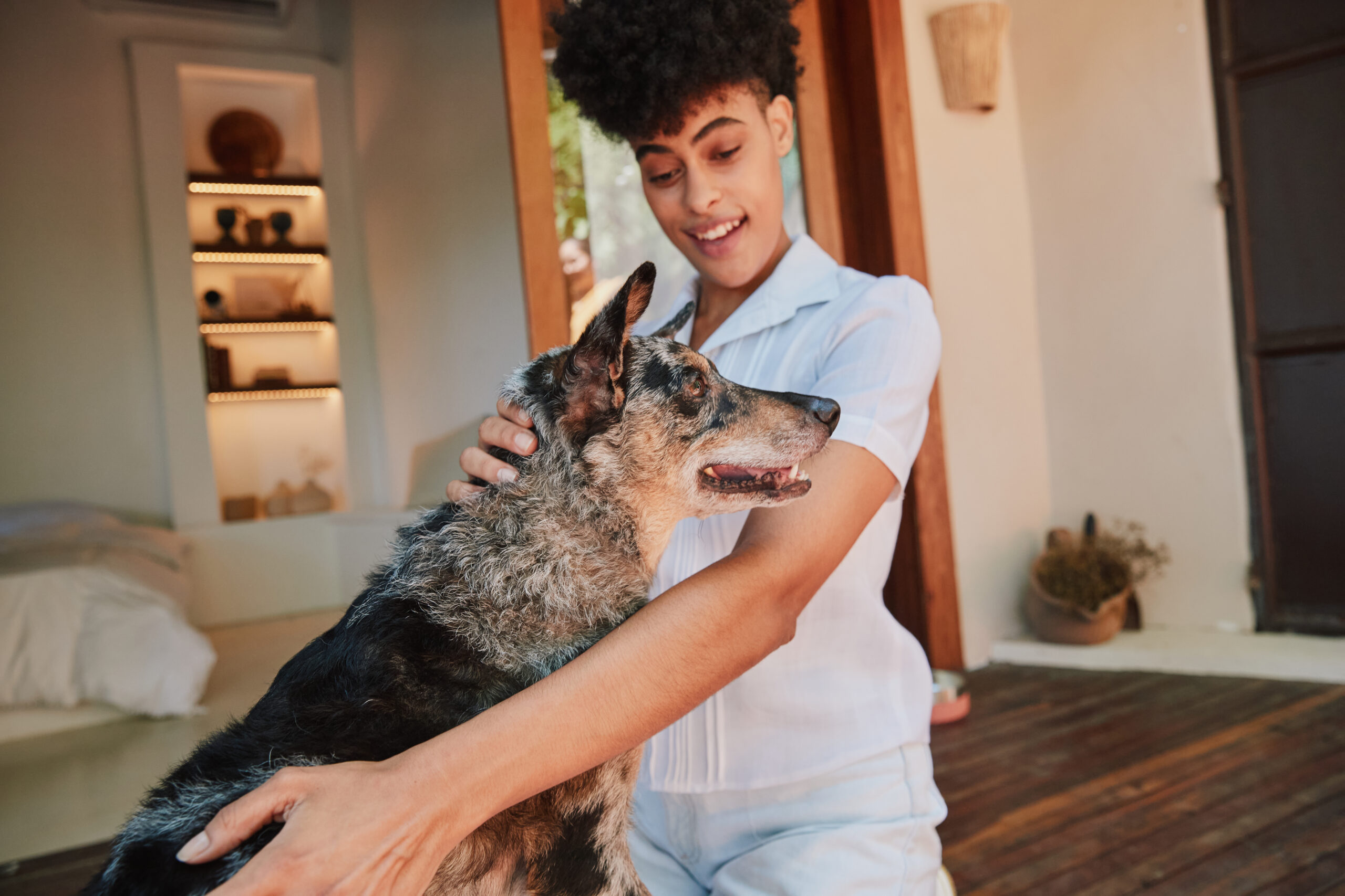Diferentes tipos de petiscos para cachorro e quando oferecer cada um 3 Imagem de responsável com cachorro
