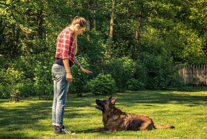 Cachorro deitado em frente a tutora, que está em pé.
