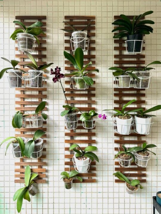 horta-vertical-em-casa-capa
