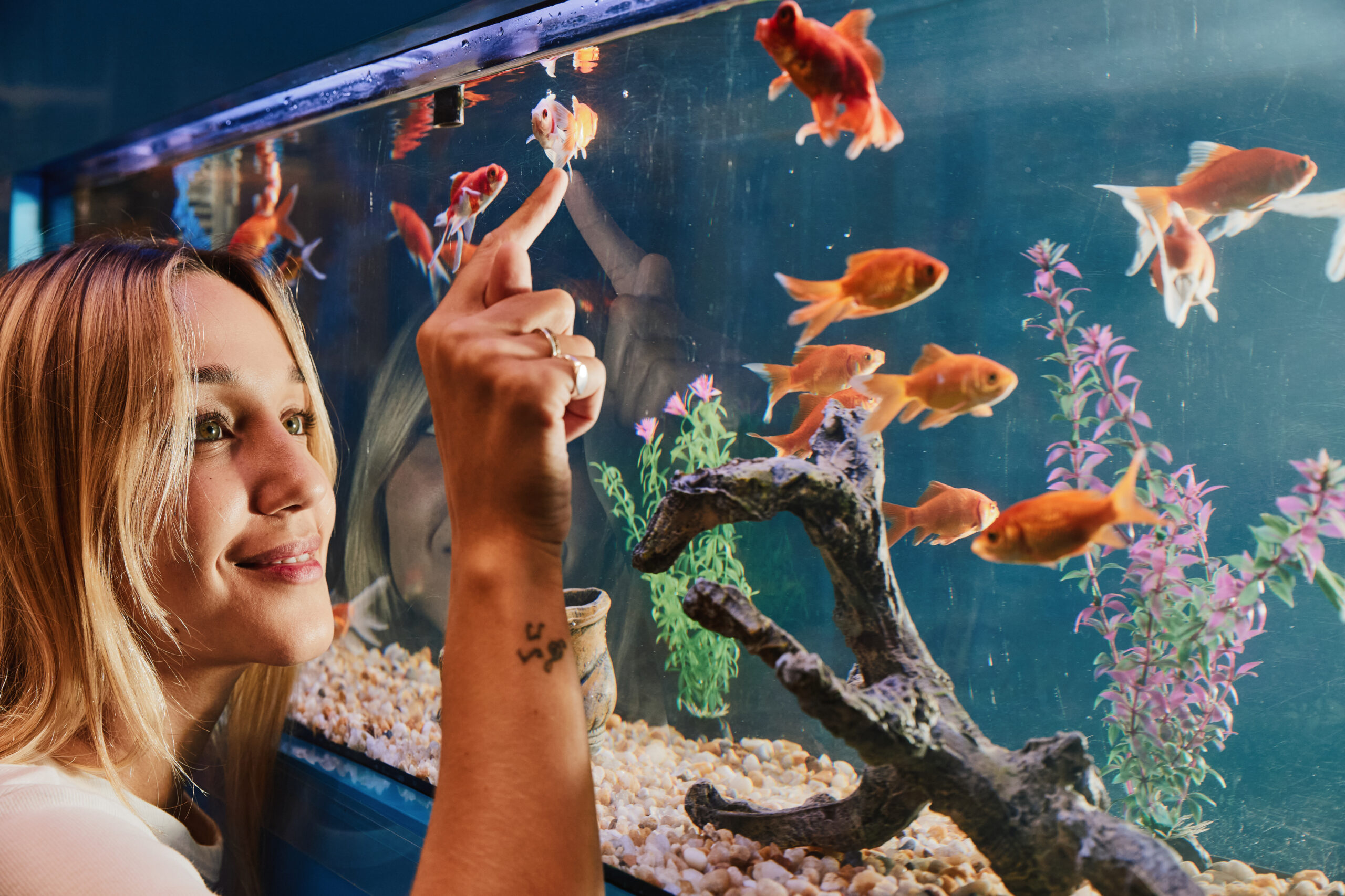 Mulher apontando para peixe com rosto próximo ao aquário.
