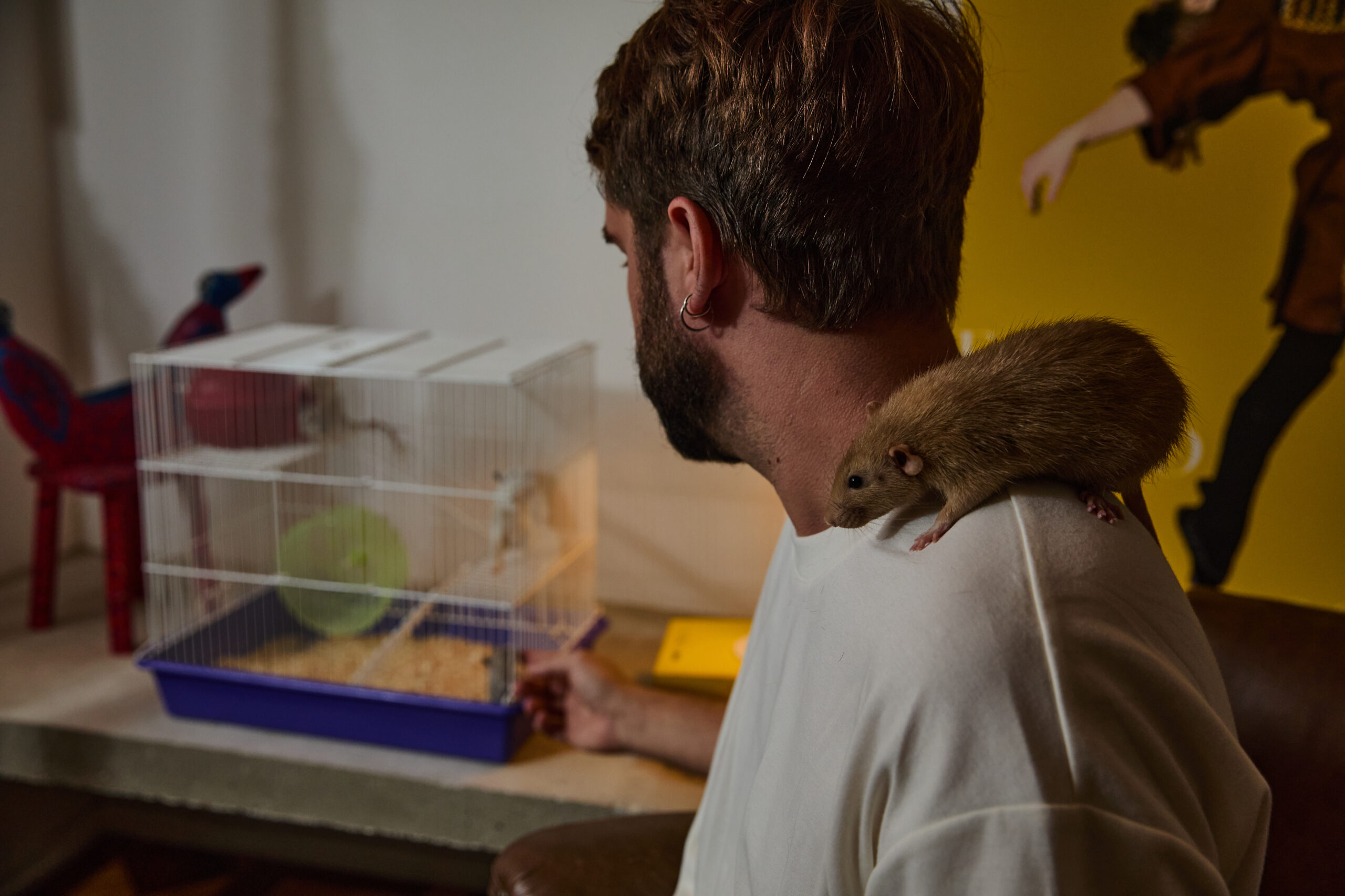 Homem com rato no ombro e olhando para a gaiola aberta.
