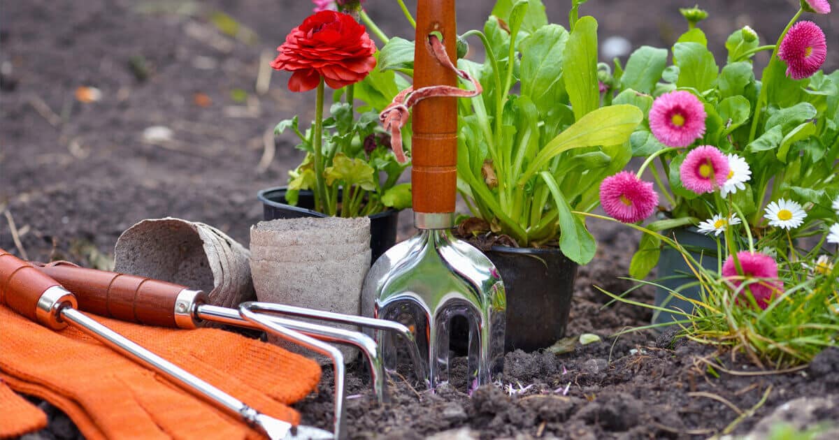 O que é jardim ornamental e por que ter um em casa? 2 Ferramentas de jardinagem perto de plantas.