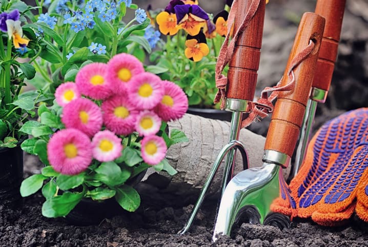 Conheça práticas de jardinagem sustentável para seu jardim 1 Plantas e itens de jardinagem.