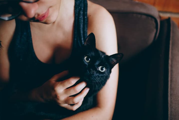 O que é melhor: adotar gato ou cachorro? 2 Gato preto no colo de tutora.