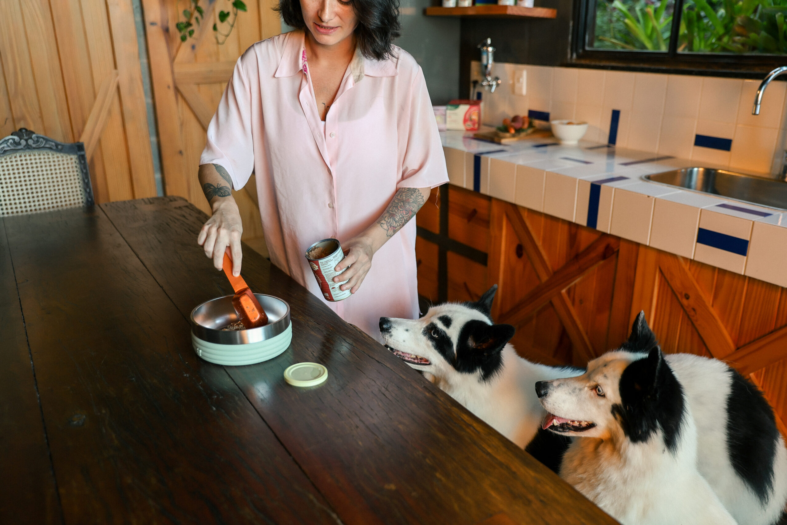 Alimentação natural para cachorro com insuficiência renal: cuidados e dicas 1 Tutora colocando comida no comedouro do cachorro.