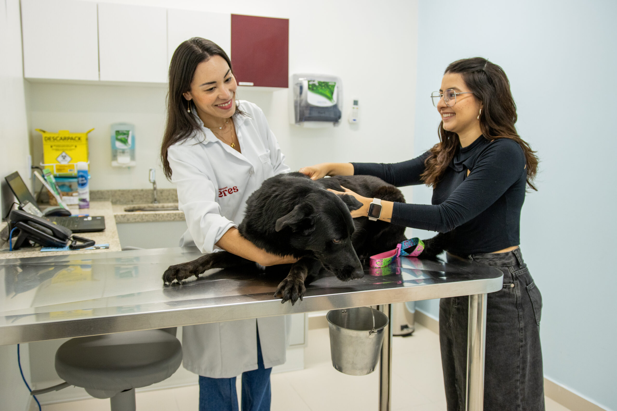 Cachorro entre tutora e veterinária na mesa de atendimento.