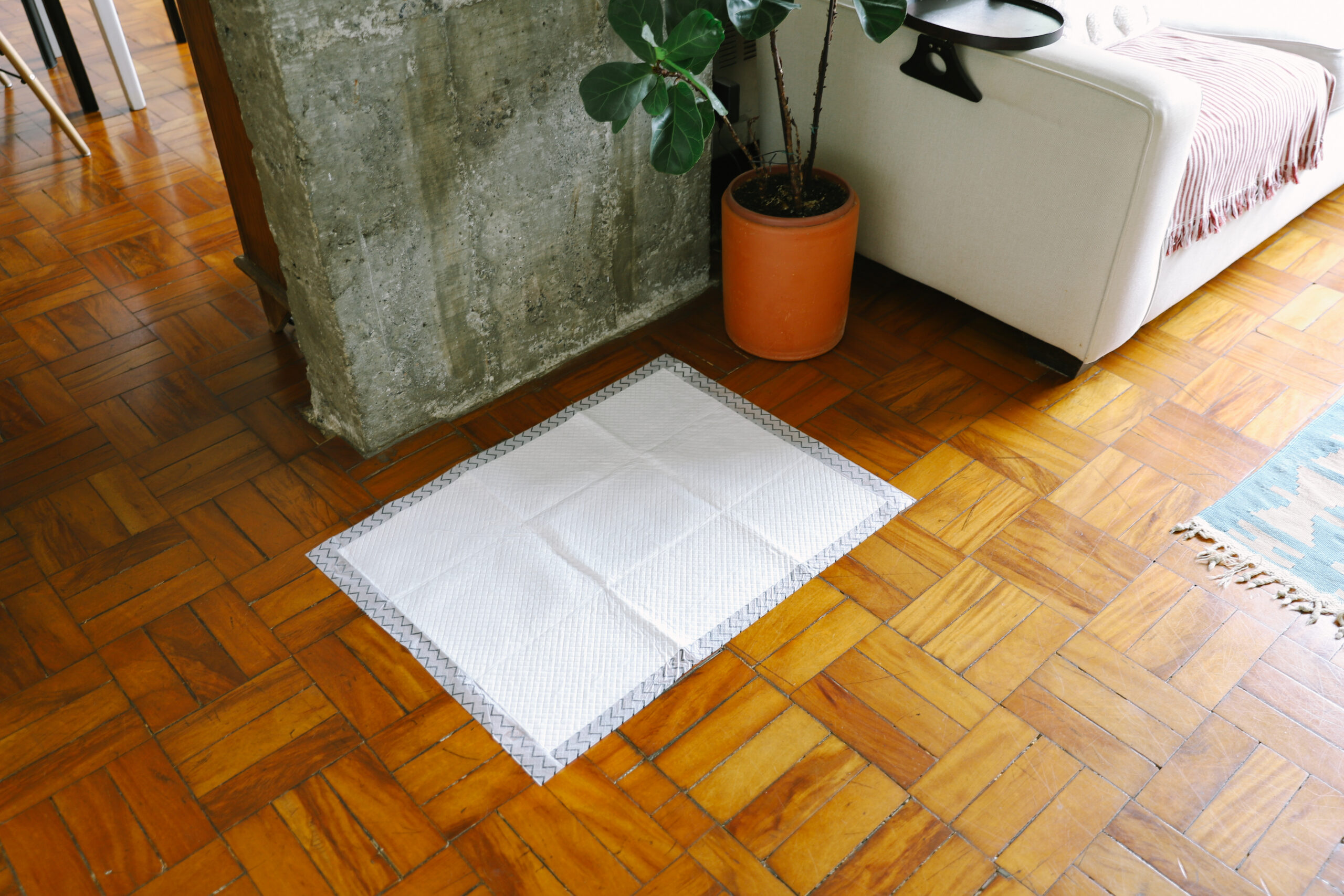 Os 8 melhores produtos da Zee.Dog para o seu cachorro 1 Tapete Zee.Pad no chão da sala.