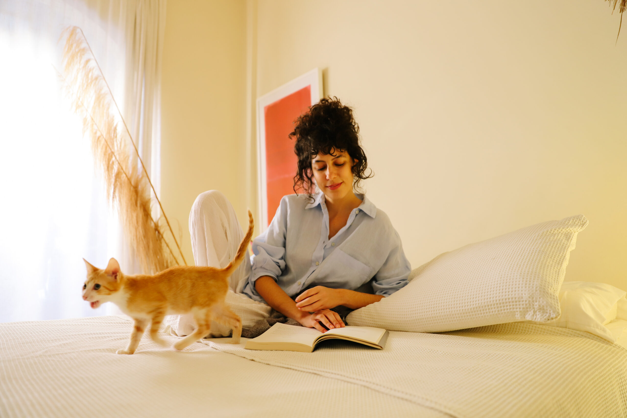 Por que os gatos seguem algumas pessoas e não outras? 1 Imagem de gato com tutora