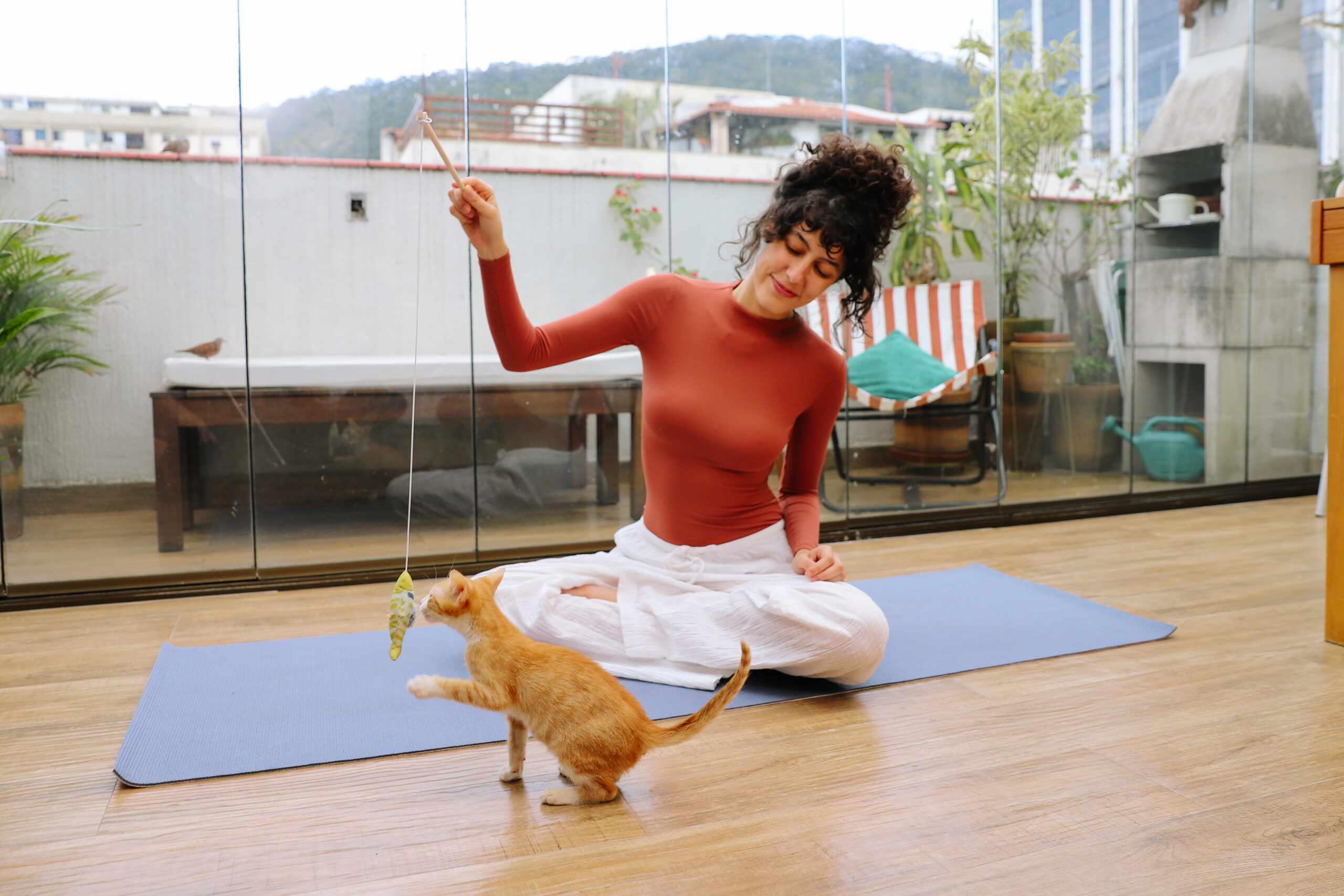 Qual é a melhor idade para adotar um cachorro ou gato? 1 Mulher brincando com gato usando varinha.