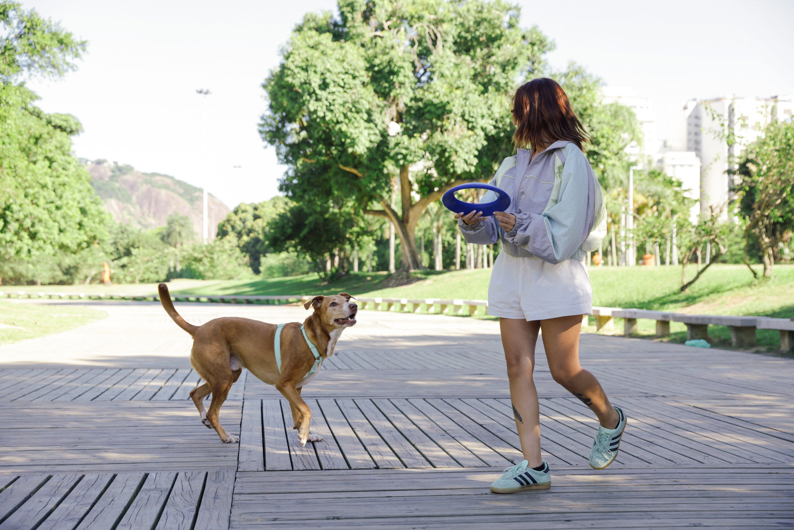 Qual é a melhor idade para adotar um cachorro ou gato? 2 Mulher brincando com cachorro usando frisbee.