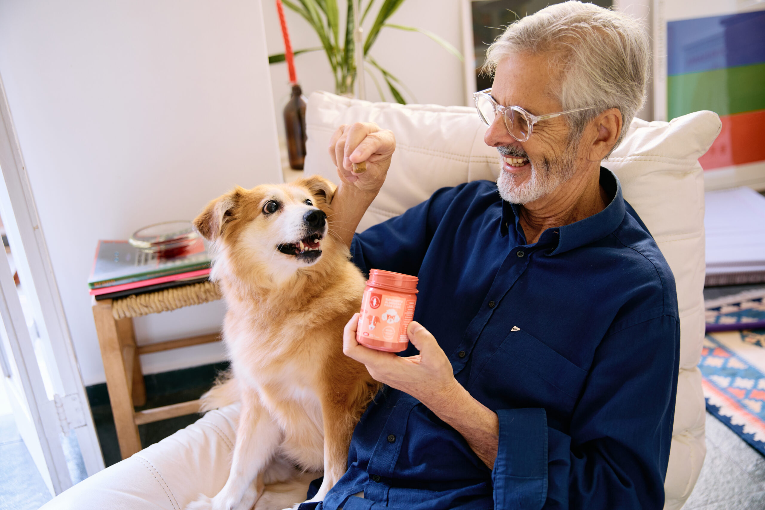 Qual é a melhor idade para adotar um cachorro ou gato? 3 Tutor dando remédio para cachorro.