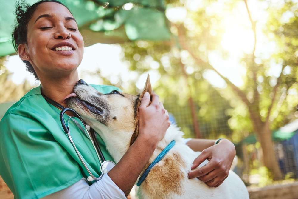 Cachorro lambendo pescoço da veterinária.