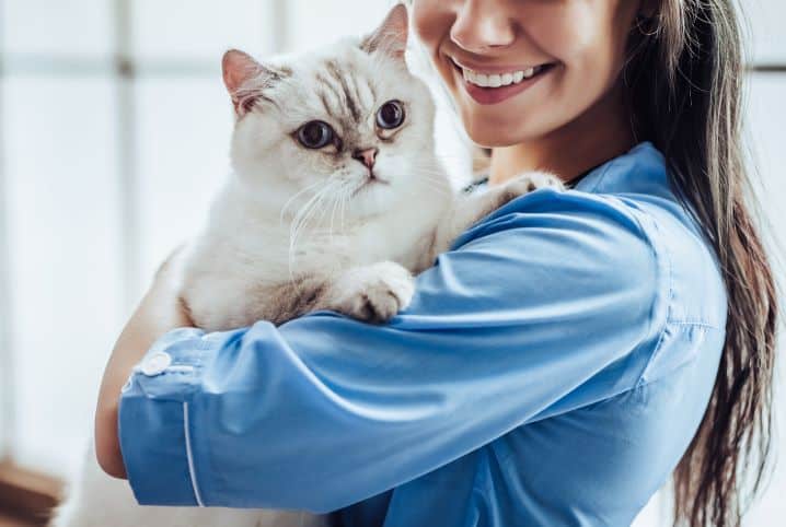 Gato no colo de veterinária.