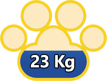 Peso do Cão de canaã