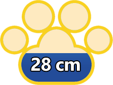 Média de altura do Terrier Checo
 