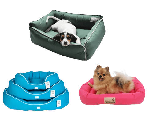 caminha-cachorros-removebg-preview