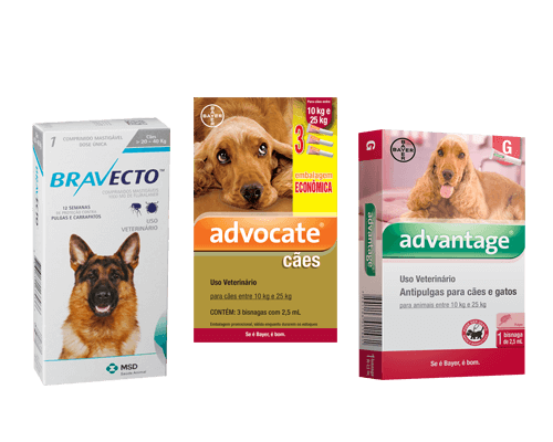 antipulgas-cachorros-2