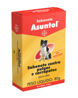 asuntol-saluki