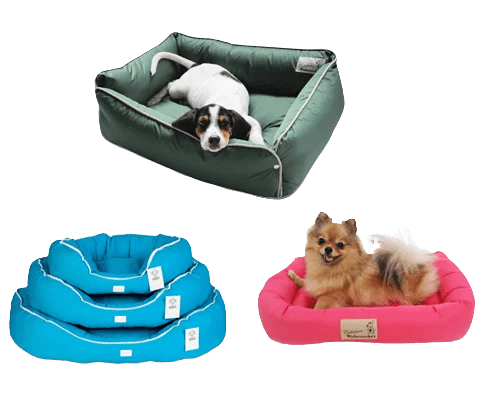 caminha-cachorros-3-removebg-preview