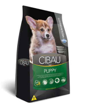 cibau-puppy-rhodesian