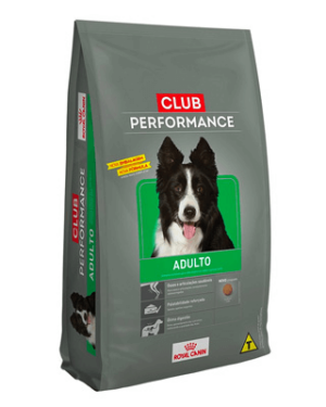 club-performance-adulto-pointer-ingles
