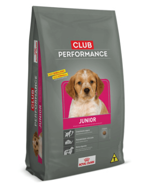 club-performance-racao-pointer-ingles