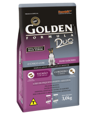 golden-duo-schnauzer-miniatura