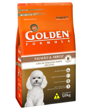 golden-formula-schnauzer-miniatura