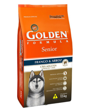golden-senior-samoieda