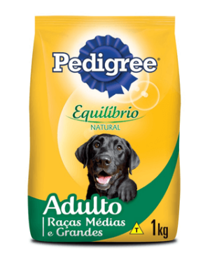 pedigree-adulto-rottweiler