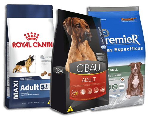 racao-para-cachorros-pitbull-1-1