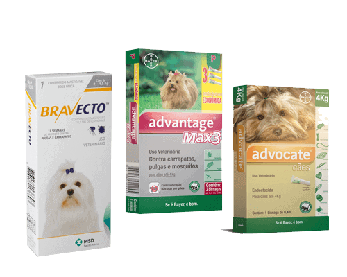 antipulgas-cachorros-1