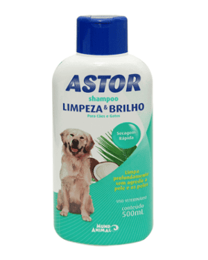 astor-vizsla