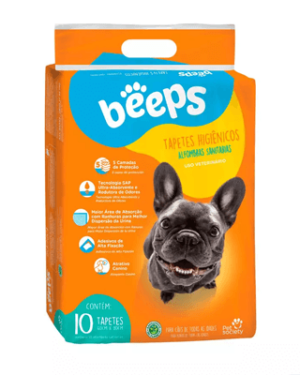 beeps-scottish-terrier