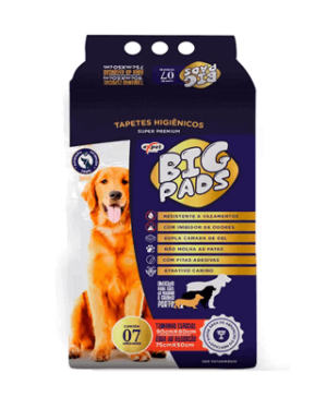 big-pads-tosa-inu