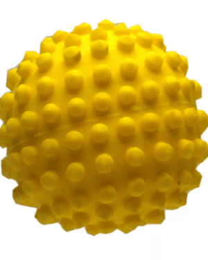 bolinha-collie