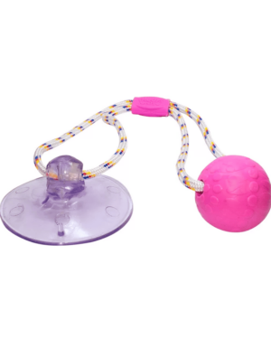brinquedo-truqys-push-ball-pet-rosa