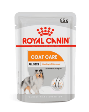 cachorro-terra-nova-racao-umida-royal-canin-coat-beauty-para-caes-adultos