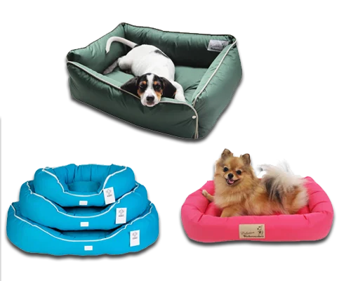 caminha-cachorros