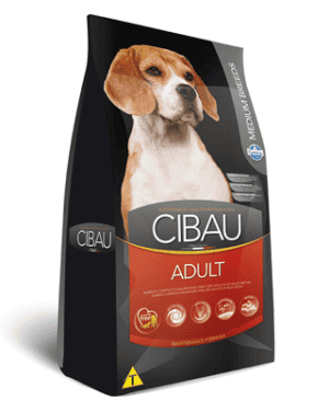 cibau-adult-vizsla