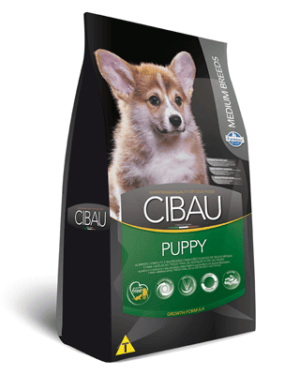 cibau-puppy-cocker-spaniel-americano