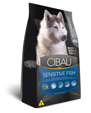 cibau-shiba-inu