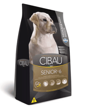 cibau-springer-spaniel