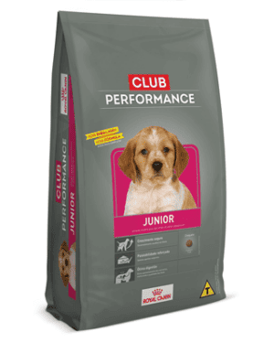 club-performance-vizsla