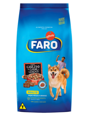 faro-shiba-inu
