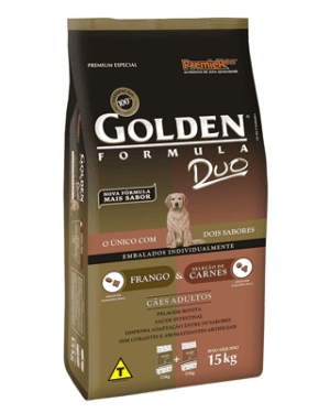 golden-duo-cocker-spaniel-americano