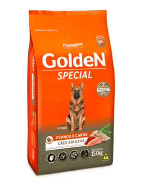 golden-special-vizsla
